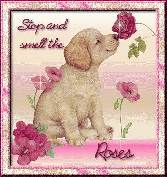 Stop and smell the roses