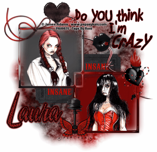 Do You Think I'm Crazy - Laura