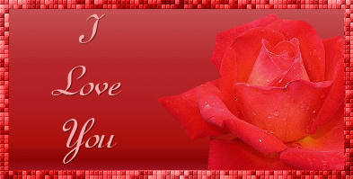 I love you