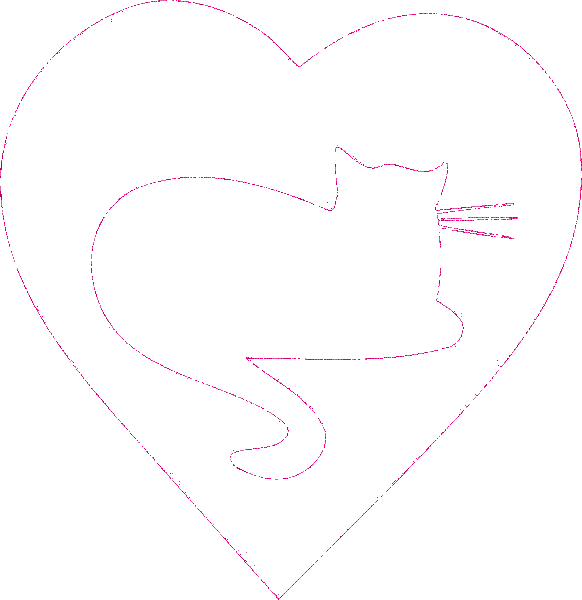 gatto