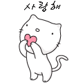 I love you cat