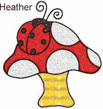 lady bugs
