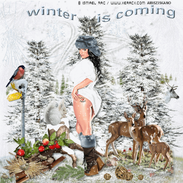 winter is coming