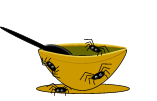 spider soup