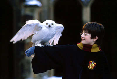 Harry Potter