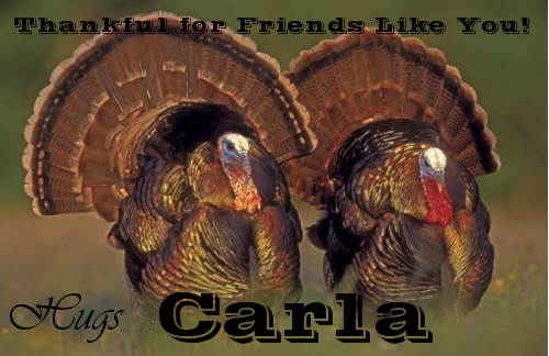Friends Like You - Carla