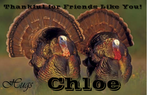 Friends Like You - Chloe