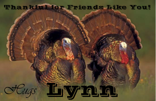 Friends Like You - Lynn