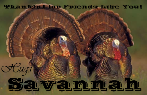 Friends Like You - Savannah