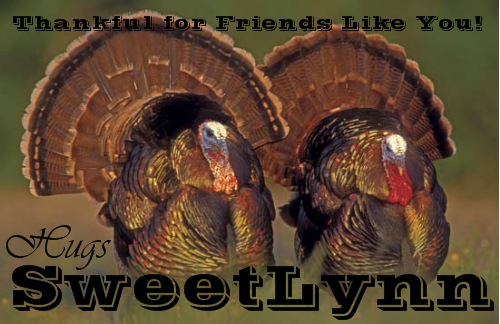 Friends Like You - SweetLynn