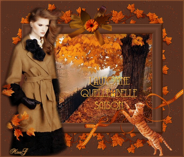 L'automne quelle  belle saison