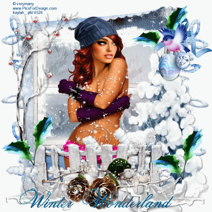 WINTER WONDERLAND