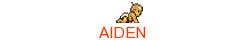 AIDEN