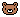 Brown bear