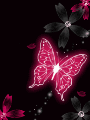 pink butterfly