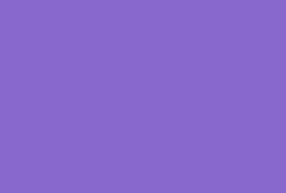 Plain Purple