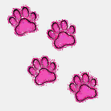Pink Pawprints