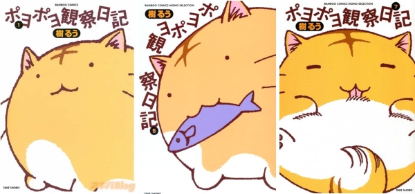 Kawai Cats