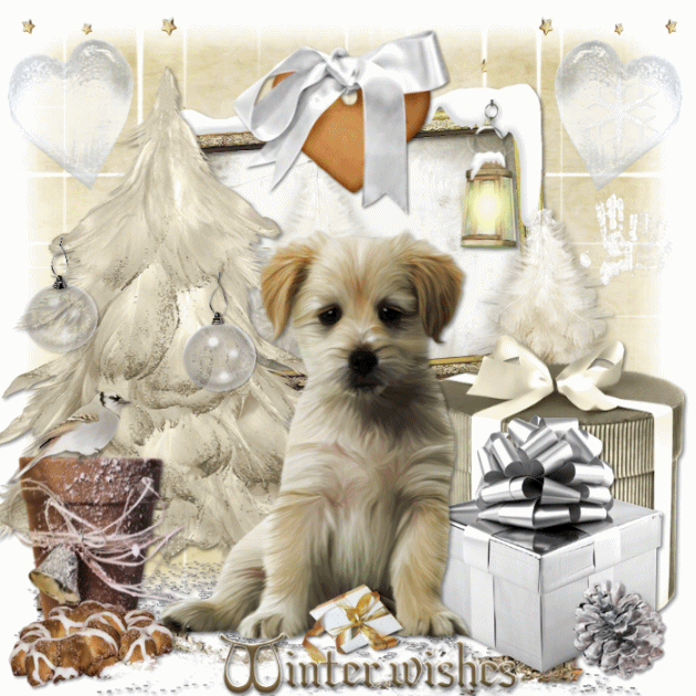winter wishes