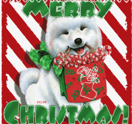 Merry Christmas