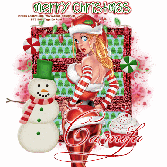 Merry Christmas - Camila