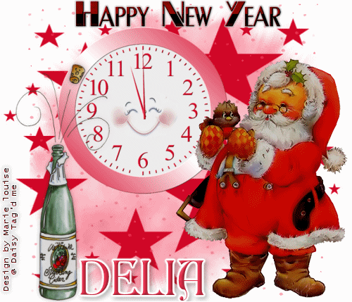 Happy new  year  Delia