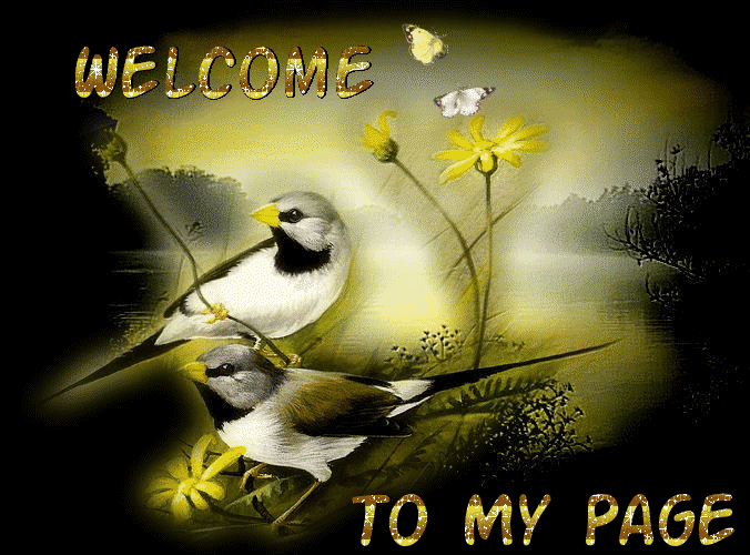 welcome