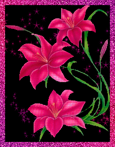 Pink Flowers