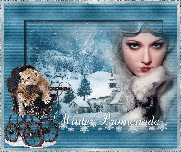 Winter promenade