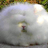 Floofy!