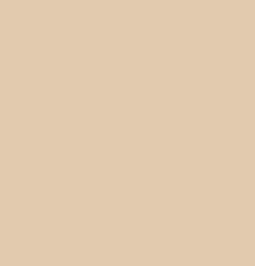 Plain Light Coffee