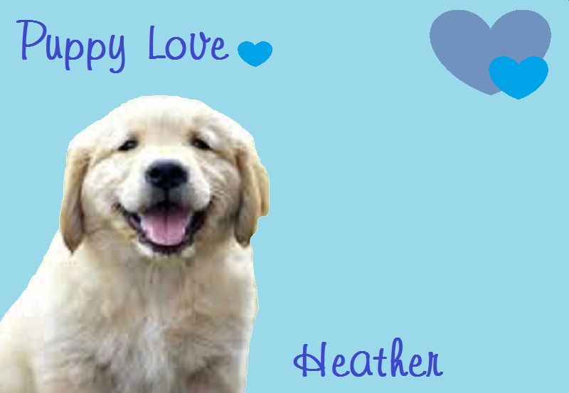 Puppy Love - Heather
