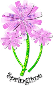 Spring