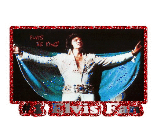#1 Elvis Fan