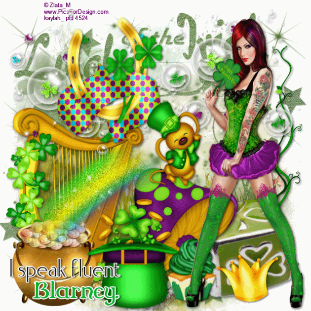 I SPEAK  FLUENT BLARNEY