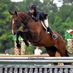 Quarter horse hunter jumping