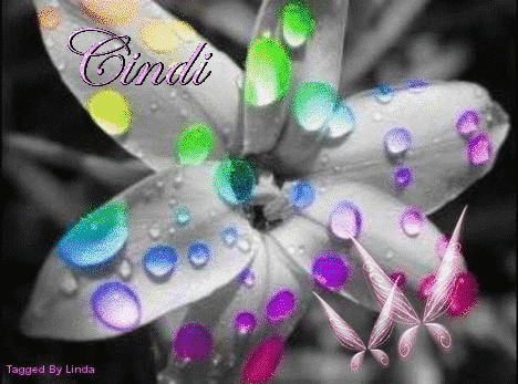 CINDI