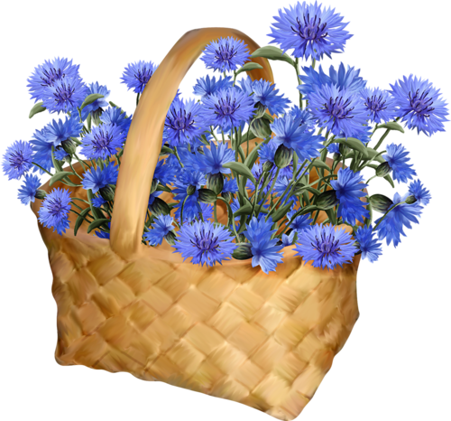 flowers in love