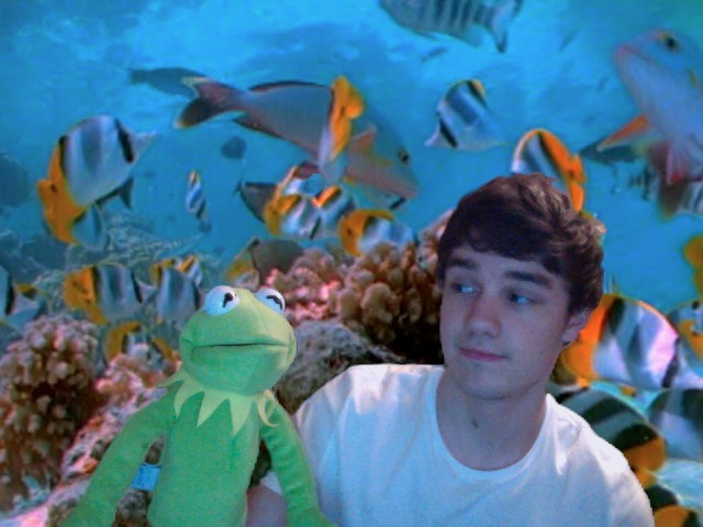 Liam Payne