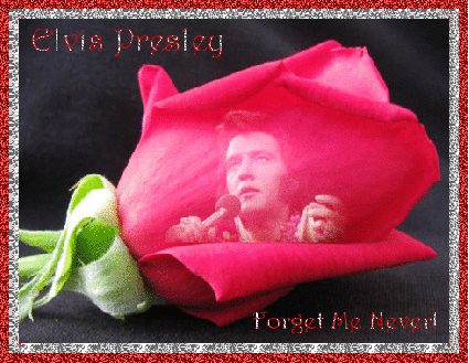 Elvis Presley-Forget Me Never!