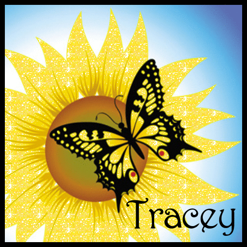 Sunflower And Butterfly - Tracey