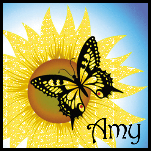 Sunflower And Butterfly - Amy