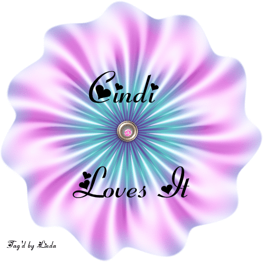 CINDI