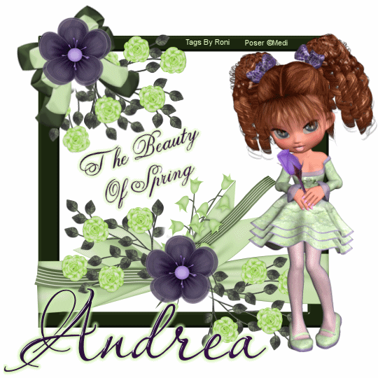 The Beauty of Spring - Andrea