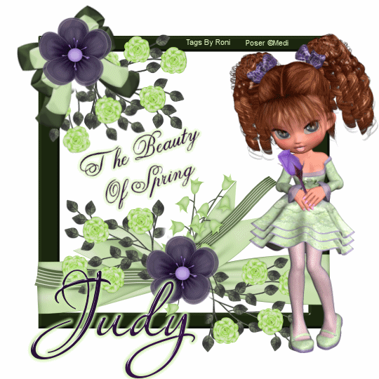 The Beauty of Spring - Judy