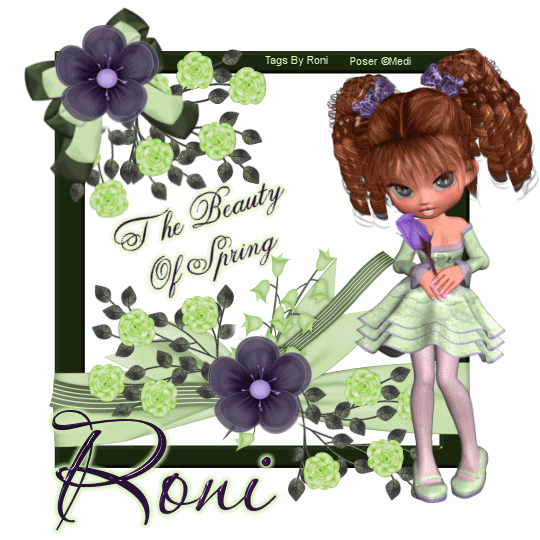 The Beauty of Spring - Roni