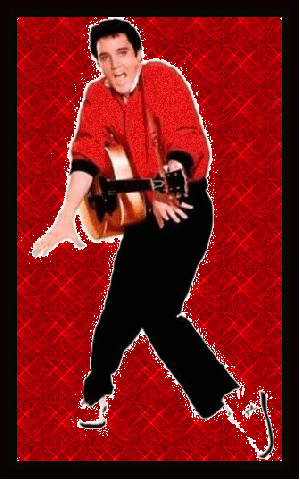 ELVIS