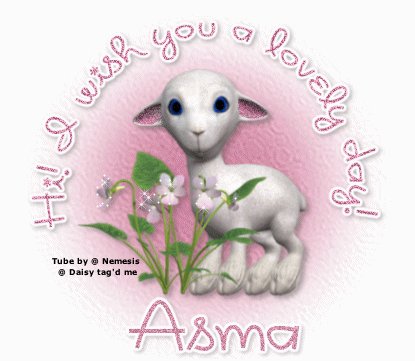 I wish you a lovely Day Asma
