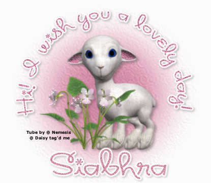 I wish you a lovely Day Siabhra