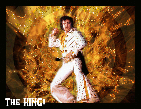 Elvis-The King!